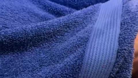 intressiert online show from December 30, 2024, 1:25 pm