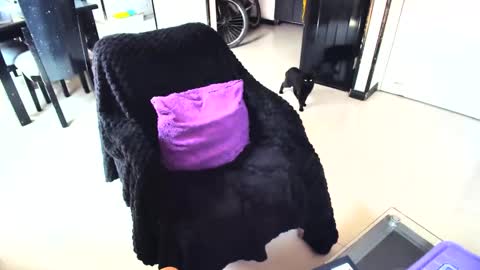 irina online show from February 15, 2025, 4:45 pm