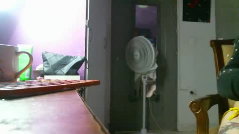 Camilla online show from December 22, 2024, 1:55 pm