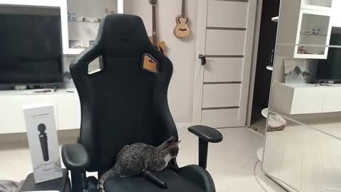 Snapshot of irwi_tomboy chatting on December 26, 2024, 11:24 pm Irwi Tomboy online show from December 26, 2024, 11:24 pm