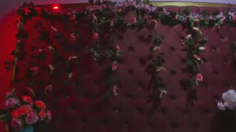 Isabella online show from June 14, 2026, 3:52 am