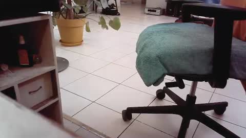 Snapshot of islandforfun chatting on July 22, 2026, 5:05 pm islandforfun online show from July 22, 2026, 5:05 pm