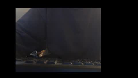 ital25usa online show from January 11, 2026, 2:11 pm