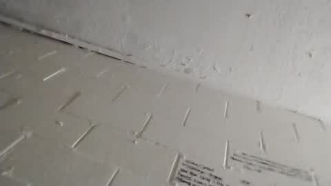 Snapshot of ittybitty0075 chatting on March 11, 2026, 4:46 pm ittybitty0075 online show from March 11, 2026, 4:46 pm