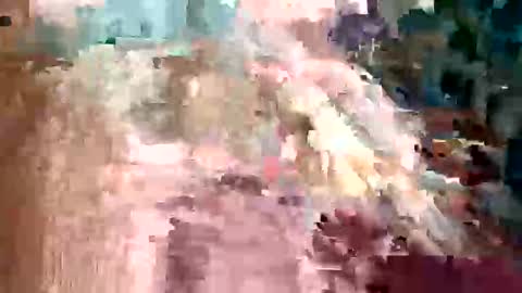 ivan2925 online show from February 3, 2026, 3:48 am
