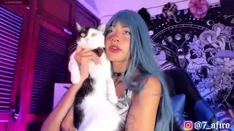   -    online show from February 12, 2026, 11:55 pm