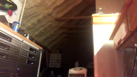 Snapshot of iwinnner chatting on January 28, 2025, 2:11 am That Guy online show from January 28, 2025, 2:11 am