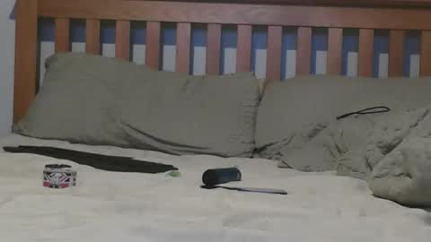 Big 8 online show from November 4, 2025, 2:16 pm