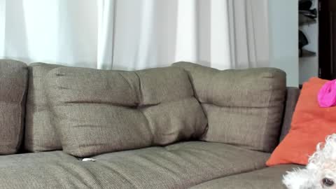 Calix  Independient model Insta and twt Calixsnake online show from January 23, 2025, 5:35 am