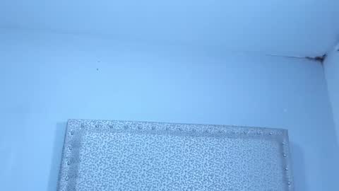 Jack White online show from January 25, 2025, 4:02 am