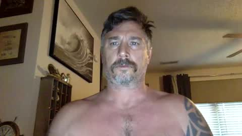 Snapshot of jackhammerhead chatting on February 19, 2025, 12:55 pm jackhammerhead online show from February 19, 2025, 12:55 pm