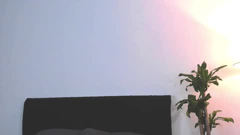 Snapshot of jakeortega chatting on February 14, 2026, 5:15 am Jake Orthega online show from February 14, 2026, 5:15 am