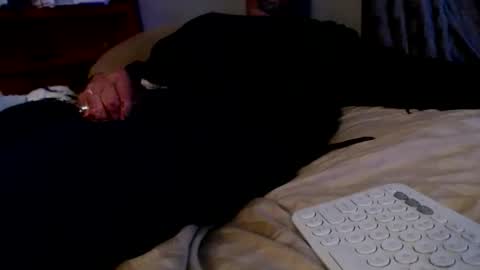 Snapshot of james30cup chatting on December 2, 2025, 8:19 am what you in too online show from December 2, 2025, 8:19 am