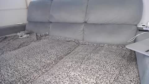 Javier  online show from December 5, 2024, 4:01 pm