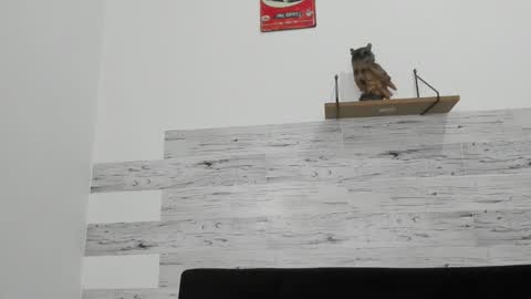 Jaycreedd online show from November 26, 2025, 4:13 am