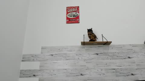 Jaycreedd online show from March 3, 2026, 5:08 pm