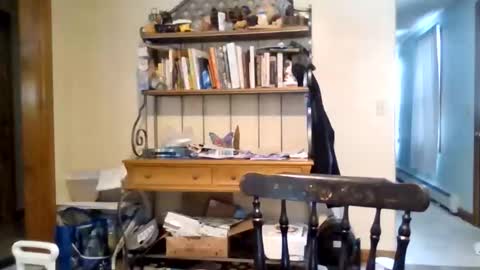 jaythenorth online show from February 11, 2026, 4:56 pm