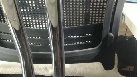 Snapshot of jc200000 chatting on February 17, 2025, 6:37 pm jc200000 online show from February 17, 2025, 6:37 pm