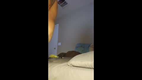 Snapshot of jdtripp15 chatting on January 13, 2026, 11:43 pm jdtripp15 online show from January 13, 2026, 11:43 pm