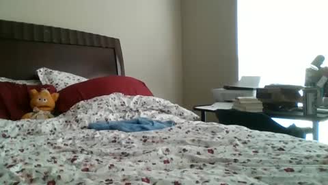 Snapshot of jennibean6996 chatting on September 30, 2025, 1:49 pm Jennibean6996 online show from September 30, 2025, 1:49 pm