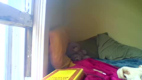 Snapshot of jenovakitty chatting on April 17, 2026, 3:04 pm Jenn - come to my onlyfans online show from April 17, 2026, 3:04 pm