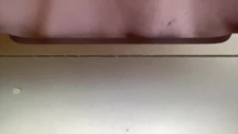 Snapshot of jerking1981 chatting on December 25, 2024, 5:37 pm jerking1981 online show from December 25, 2024, 5:37 pm