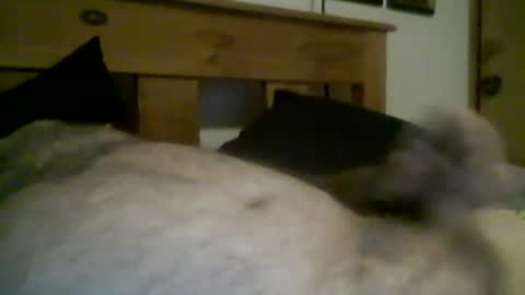 jerkmate6666 online show from March 12, 2026, 11:44 pm