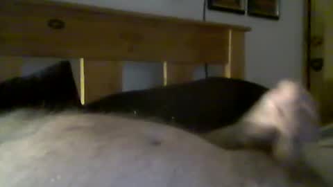 jerkmate6666 online show from March 15, 2026, 9:32 pm