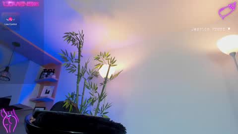  Jessica Pratt  IG jessicaxpratt online show from February 25, 2025, 11:11 pm