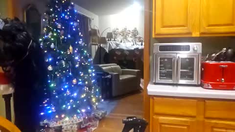 Snapshot of jessyboi0504 chatting on December 18, 2025, 10:16 pm seductress Cyber Succubus online show from December 18, 2025, 10:16 pm