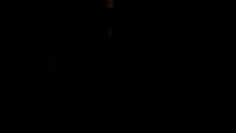 Snapshot of jestersquid89 chatting on September 13, 2025, 10:31 pm jestersquid89 online show from September 13, 2025, 10:31 pm