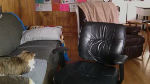 jettadude5 online show from January 25, 2025, 6:02 pm