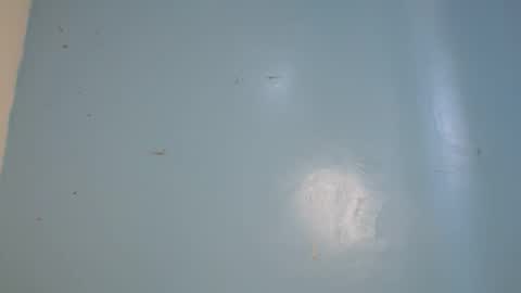 jia lisa online show from February 14, 2026, 9:17 am