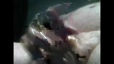 jimboluv488 online show from December 18, 2024, 2:10 am