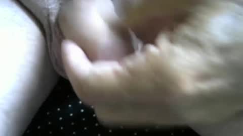 Snapshot of jimismiles chatting on October 7, 2025, 6:16 pm jimismiles online show from October 7, 2025, 6:16 pm