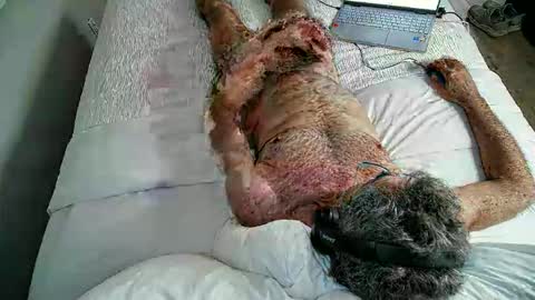 jimjimjim2633 online show from April 2, 2026, 12:52 am