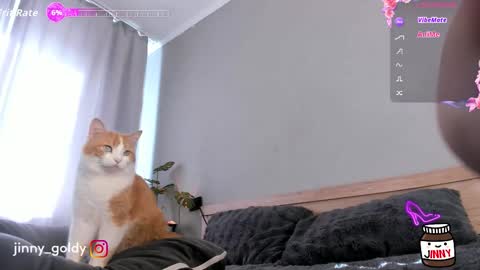 MY NEW INSTA jinny goldy online show from February 15, 2026, 7:51 am