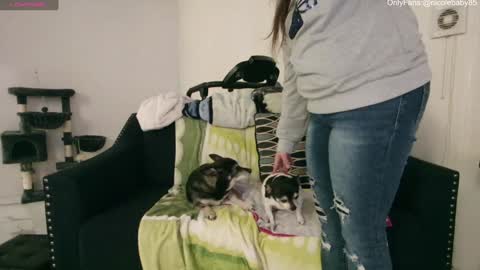 Snapshot of jjjust4fun1985 chatting on December 15, 2024, 2:30 am Nicole Allen online show from December 15, 2024, 2:30 am