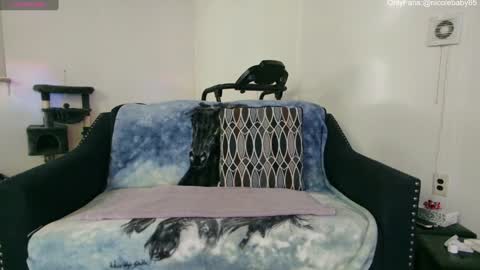 Snapshot of jjjust4fun1985 chatting on December 22, 2024, 1:55 am Nicole Allen online show from December 22, 2024, 1:55 am