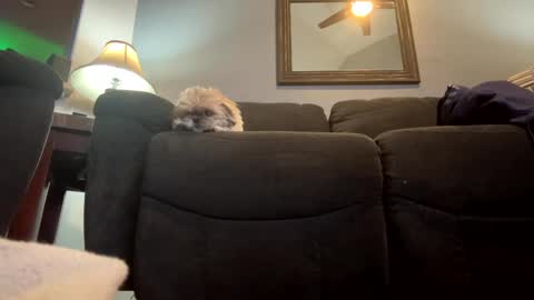 Snapshot of jlovindemsm chatting on January 21, 2025, 11:02 pm Jimmy online show from January 21, 2025, 11:02 pm