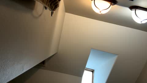 Snapshot of jlovindemsm chatting on February 3, 2025, 5:14 pm Jimmy online show from February 3, 2025, 5:14 pm