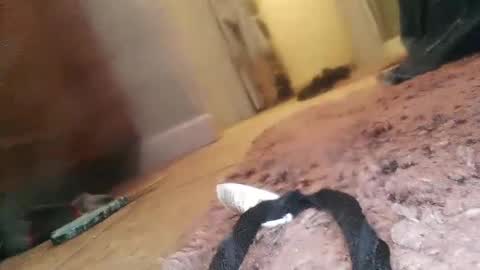 Snapshot of jlovindemsm chatting on February 23, 2025, 1:57 am Jimmy online show from February 23, 2025, 1:57 am