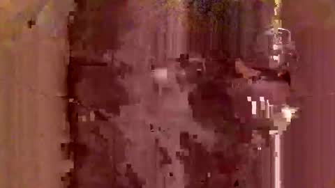 Snapshot of jodlsepp chatting on December 12, 2024, 11:47 pm jodlsepp online show from December 12, 2024, 11:47 pm