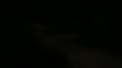 joe_3332 online show from May 15, 2026, 7:48 am