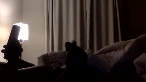 Snapshot of jokerwayne32 chatting on April 8, 2026, 3:50 am jokerwayne32 online show from April 8, 2026, 3:50 am