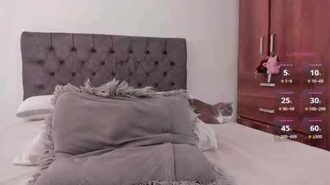 Will online show from February 28, 2026, 6:53 pm