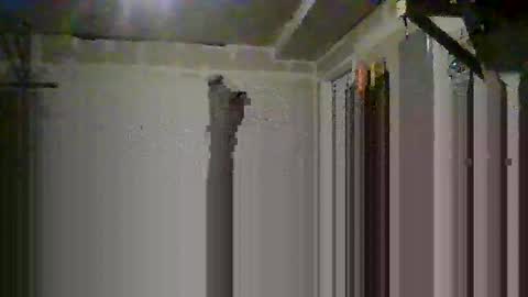 sissy josphine online show from October 14, 2025, 6:36 am