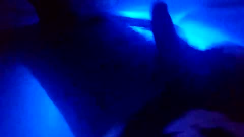 juanchis_24 online show from September 16, 2025, 8:04 am