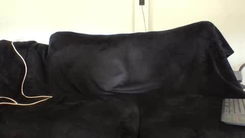 juanmamestre94 online show from February 27, 2026, 2:39 pm