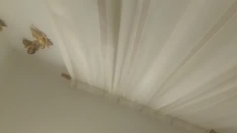 JuanmaSEX online show from November 14, 2025, 3:27 am